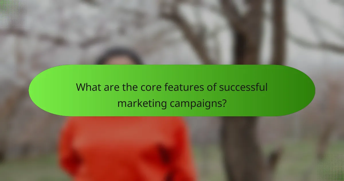 What are the core features of successful marketing campaigns?
