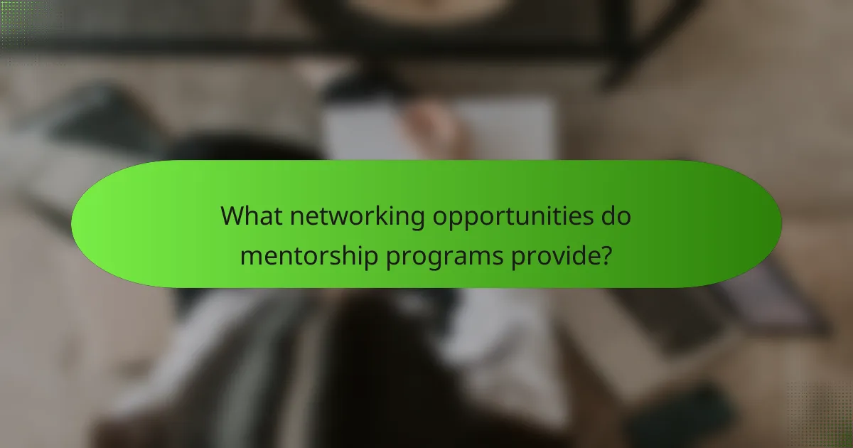 What networking opportunities do mentorship programs provide?