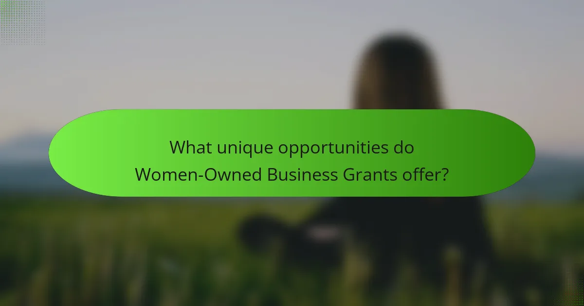 What unique opportunities do Women-Owned Business Grants offer?